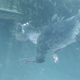 Image for article titled The Last Guardian Finally Coming Holiday 2011